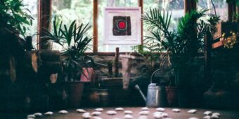 Ogrody sensoryczne w domu: Jak przekształcić wnętrze w wieloaspektowe miejsce relaksu